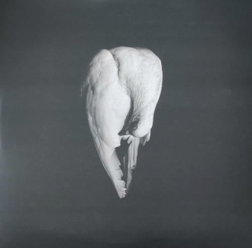 Amenra : Live at dunk!2021